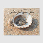 Groeten van Sanibel Island Sea Turtle in Shell (Voorkant)