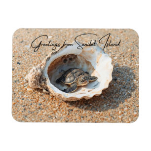 Groeten van Sanibel Island Sea Turtle in Shell Magneet