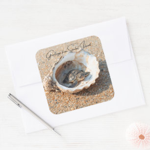 Groeten van Sanibel Island Sea Turtle in Shell Vierkante Sticker