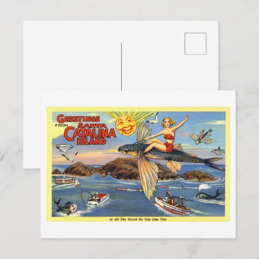  groeten van Santa Catalina Island Briefkaart (Voorkant / Achterkant)