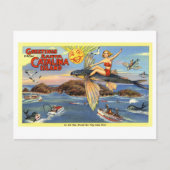  groeten van Santa Catalina Island Briefkaart (Voorkant)