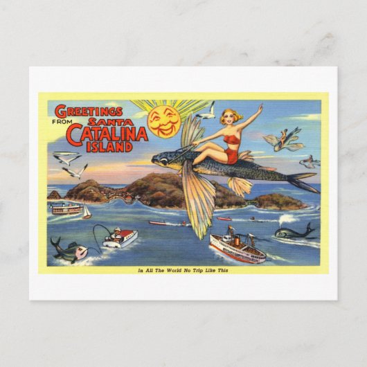 groeten van Santa Catalina Island Briefkaart (Voorkant)
