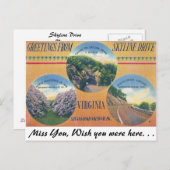 Groeten van Skyline Drive, Virginia Briefkaart (Voorkant / Achterkant)