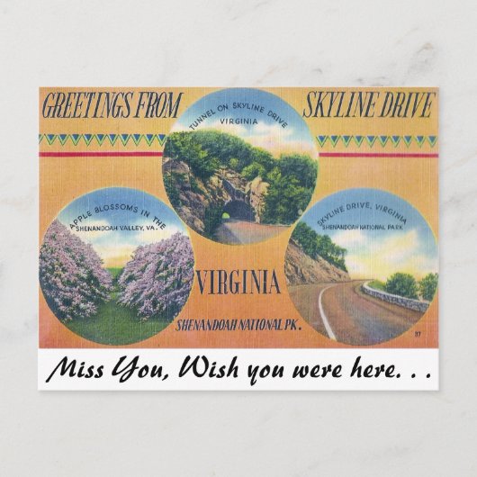 Groeten van Skyline Drive, Virginia Briefkaart (Voorkant)
