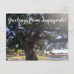 Groeten van Sunnyvale. Briefkaart