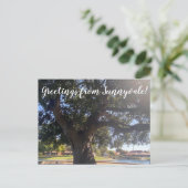 Groeten van Sunnyvale. Briefkaart (Staand voorkant)