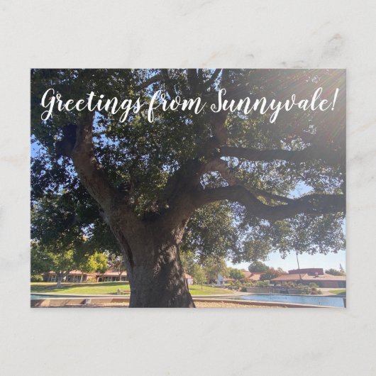 Groeten van Sunnyvale. Briefkaart (Voorkant)