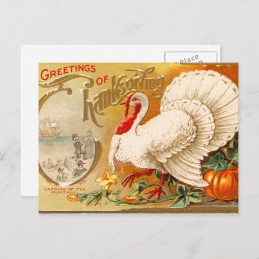 Groeten van Thanksgiving White Turkey  Feestdagenkaart (Voorkant / Achterkant)