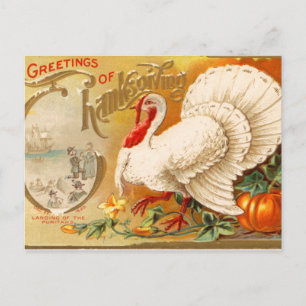 Groeten van Thanksgiving White Turkey  Feestdagenkaart