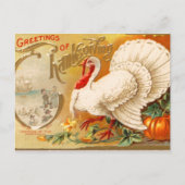 Groeten van Thanksgiving White Turkey  Feestdagenkaart (Voorkant)