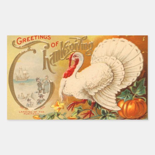 Groeten van Thanksgiving White Turkey  Rechthoekige Sticker (Voorkant)