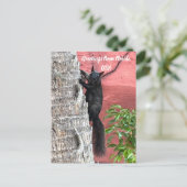 Groeten van ... Zwarte eekhoorn Briefkaart (Staand voorkant)