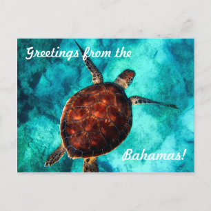 Groeten vanuit de Bahama's Ansichtkaart Briefkaart