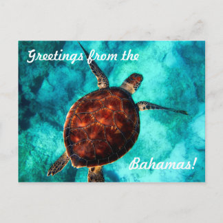 Groeten vanuit de Bahama's Ansichtkaart Briefkaart