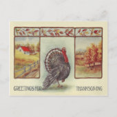 Groeten voor Thanksgiving Feestdagenkaart (Voorkant)
