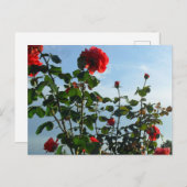 Groetjes verjaardag platte kaart (Voorkant / Achterkant)