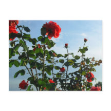 Groetjes verjaardag platte kaart