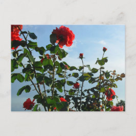 Groetjes verjaardag platte kaart