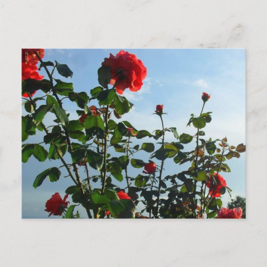 Groetjes verjaardag platte kaart (Voorkant)