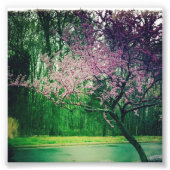 groetkaart foto afdruk (Voorkant)