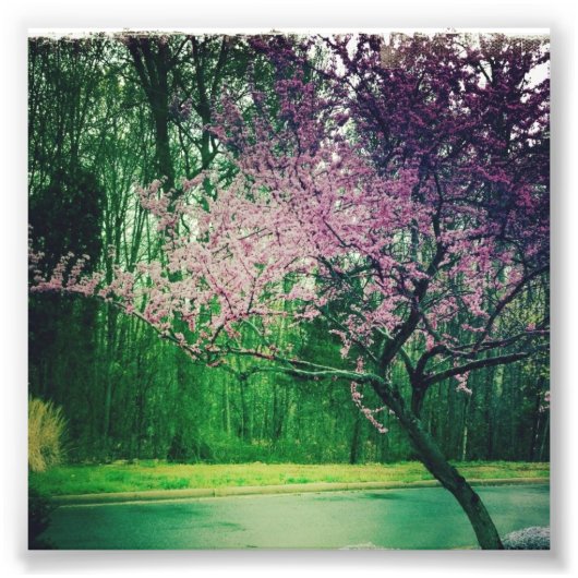 groetkaart foto afdruk (Voorkant)