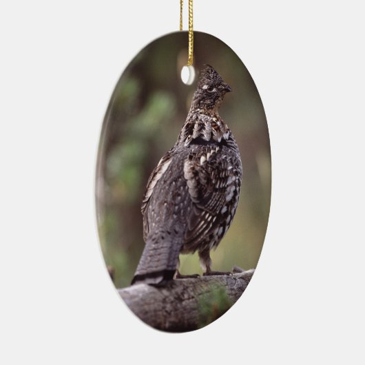 grof keramisch ornament (Rechts)