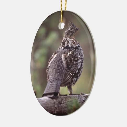 grof keramisch ornament (Links)