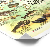 Groffs placemat 8x10 poster (Hoek)