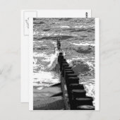 Groin en golven briefkaart (Voorkant / Achterkant)