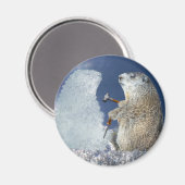 Grond dag ijsvorming magneet (Voorkant / Achterkant)