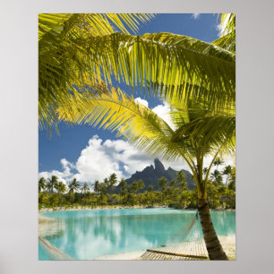 Grond en omgeving van het nieuwe luxe St. Regis Poster
