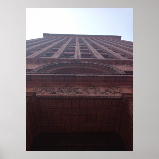 Grondaanzicht van het Guaranty Building Poster (Voorkant)
