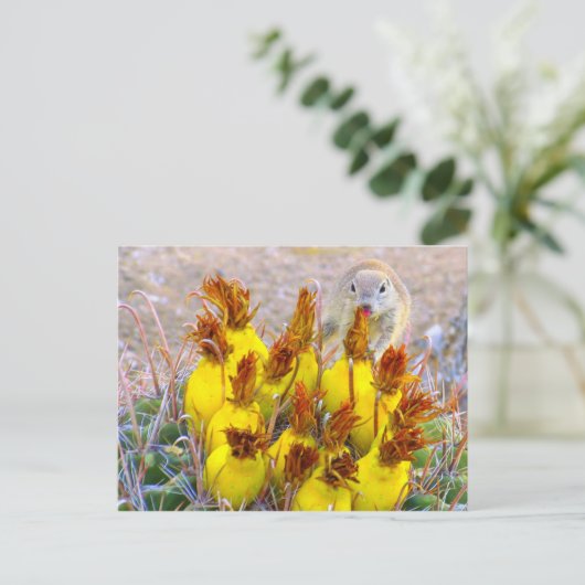 Grondeekhoorn en slagpijpjes briefkaart (Staand voorkant)