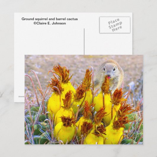 Grondeekhoorn en slagpijpjes briefkaart (Voorkant / Achterkant)