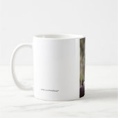 Grondgebruik Koffiemok (Links)