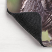 Grondgebruik Muismat (Hoek)