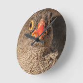 Grondgebruik Ronde Klok (Hoek)