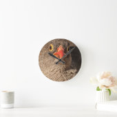 Grondgebruik Ronde Klok (Huis)