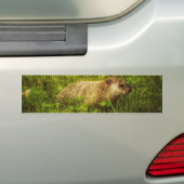Grondhoed in een veld bumper sticker (Op auto)