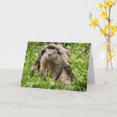 Grondhoede in een Hollow Log Kaart (Gele Bloem)