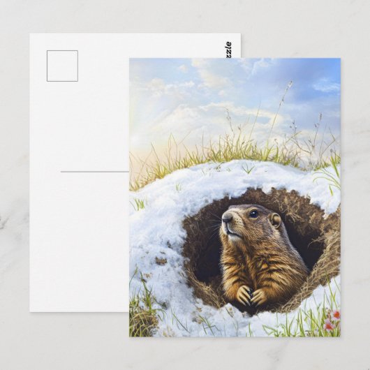 Grondhog Briefkaart (Voorkant / Achterkant)