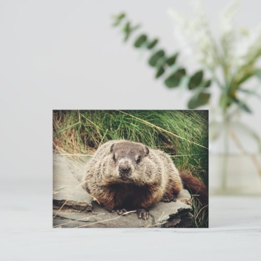 Grondhog Briefkaart (Staand voorkant)