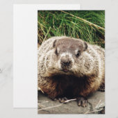 Grondhog Briefpapier (Voorkant / Achterkant)