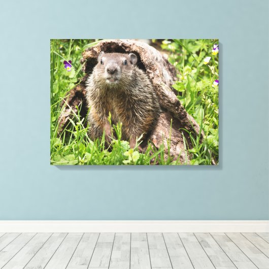 Grondhog in een Hollow Log Canvas Afdruk (Insitu (Houten vloer))