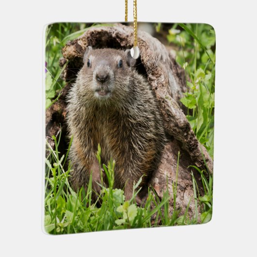 Grondhog in een Hollow Log Keramisch Ornament (Rechts)