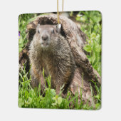 Grondhog in een Hollow Log Keramisch Ornament (Links)