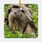 Grondhog in een Hollow Log Keramisch Ornament (Voorkant)