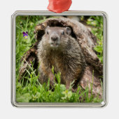 Grondhog in een Hollow Log Metalen Ornament (Voorkant)
