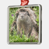 Grondhog in een Hollow Log Metalen Ornament (Links)