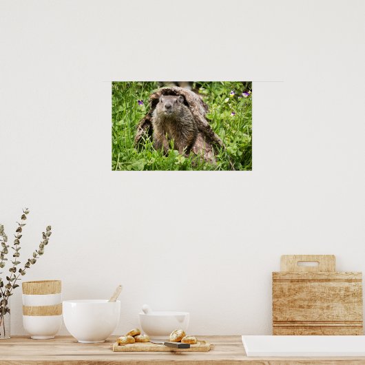 Grondhog in een Hollow Log Poster (Keuken)